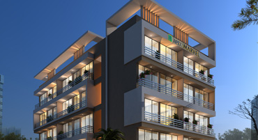 Night View